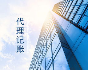 廊坊小公司代理記賬 專業(yè)會(huì)計(jì)服務(wù)的明智之選